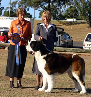 Tai Yaun Call T' Tune