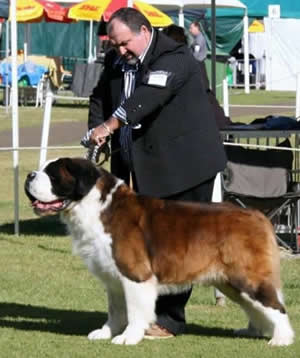 Opdykes Magic Mountain Outrageous