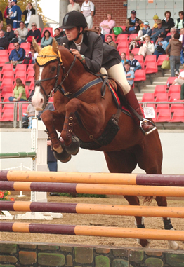 Danielle riding Guns n' Roses at 2005 Sydney Royal Easter Show 